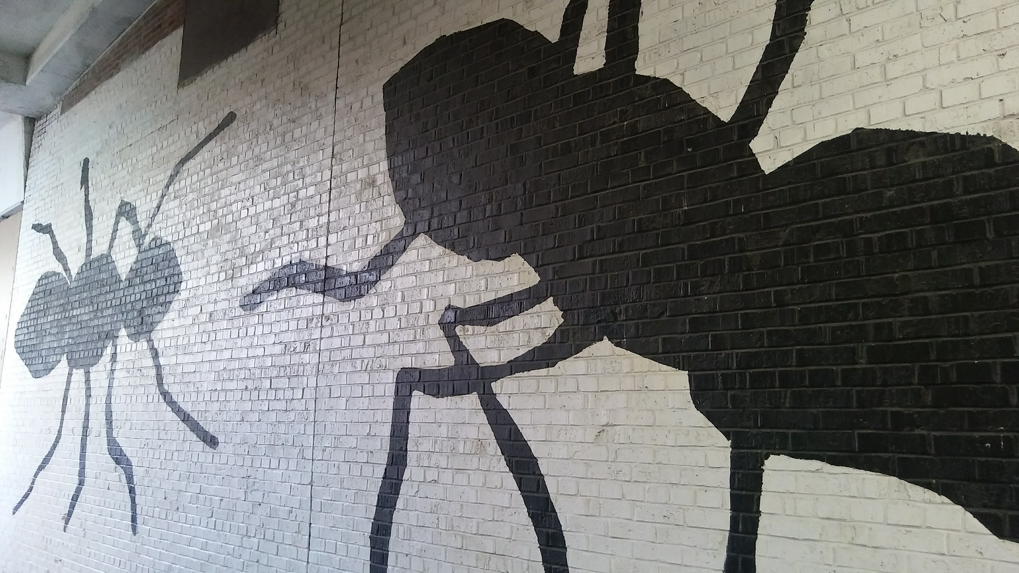 A Vibe Check in Graffiti Alley